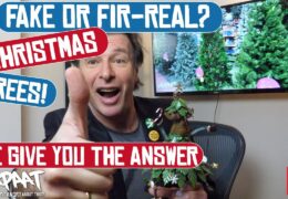 Should YOU buy a fake Christmas tree or a real one? The answer is here