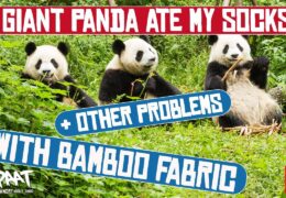 A Giant Panda Ate My Socks And Other Problems With Bamboo Clothing