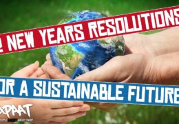 12 Sustainable Resolutions That Could Stop Us Sliding Into The Abyss