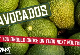 Unsustainable Avocados – Why We Should Choke on Our Guacamole