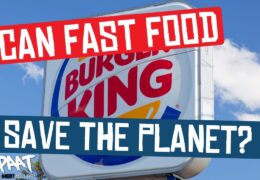 Can Burger King, McDonalds & The Junk Food Industry Save The Planet?